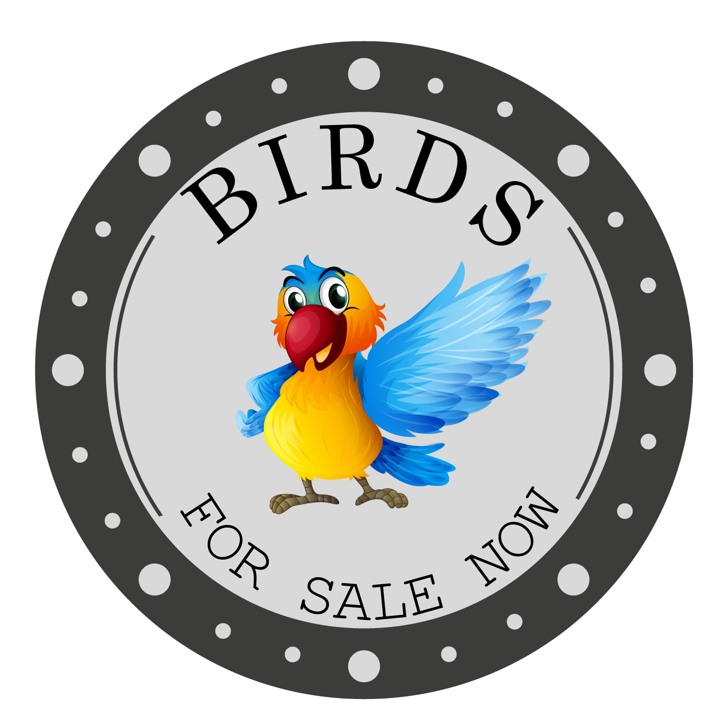 Birds For Sale Now